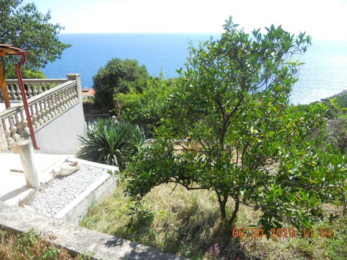 Blue Horizon Dobra Voda Exterior foto